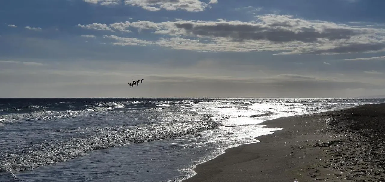 公寓 埃斯特波纳Costalita Seaview公寓
